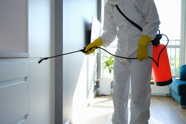 Home Mold Removal in Granby, MO