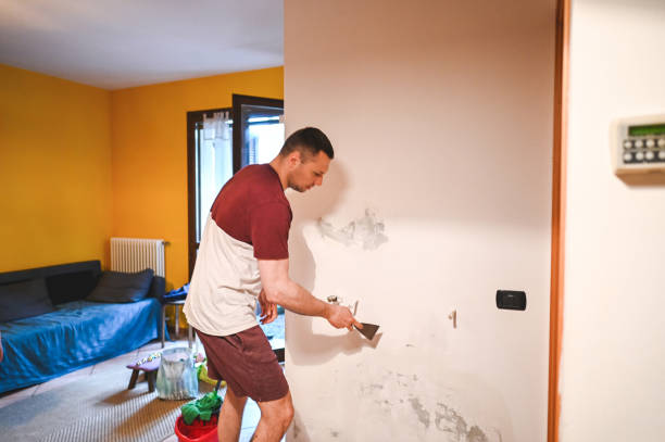Best Mold Damage Repair  in Granby, MO